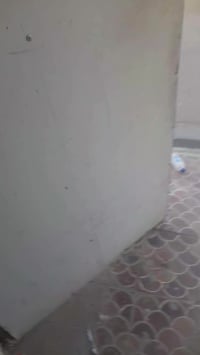 بغداد الجديده • ٣٥م • غرفتين