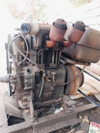 مولد • خنزيرة • عكوسة