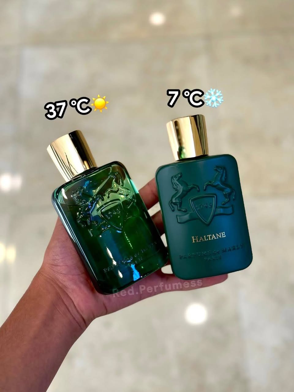 💎✨اكمل مكتبتك الان عطور فاخرة.. تميزك يبدأ من الرشة الأولى! ✨💎

🌍 يتوفر لدينا كافة إصدارات عطور الدور العالمية 💫
🛍️ بيع بالجملة والمفرد – اختار نغمتك الخاصة من بين أفخم الماركات العالمية 🌸

🔥 تنوع مذهل – روائح تخطف الأنظار – ثبات يدوم لساعات طويلة 💥

🎁 سواء هدية أو استخدام شخصي، عطورنا تضيف لمستك الأنيقة وين ما تروح 💫

📦 اطلب الآن وخلّ عطرك يحچي عنك 🕊️

---

#عطور #عطور_راقية #عطورات_عالمية #عطور_نسائية #عطور_رجالية #عطور_العراق #بغداد #اربيل #البصرة #الناصرية #الموصل #عطور_فخمة #تسوق_الان #عطور_مميزة


**إذا كنت صاحب هذا الإعلان وتريد حذفه لأي سبب، رجاءا أرسل رسالة إلى الدعم الفني**