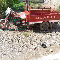 ستوته • أوراق كاملة • عزيزيه