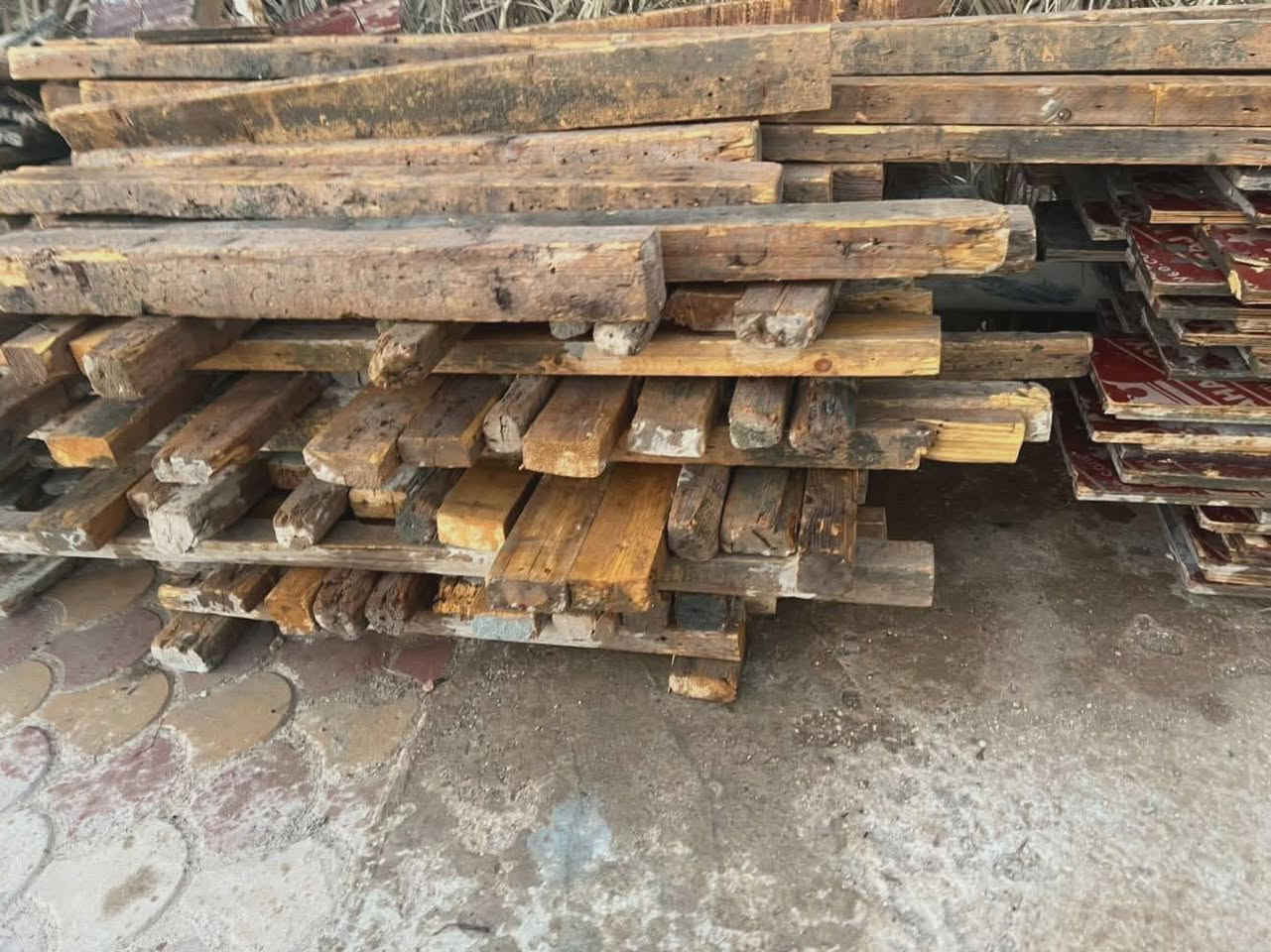 سلام عليكم اخوان عندي خشب للبيع بلايودمشرح علا ٣٠و٢٥ الطول  من المتر الى مترين و٤٠ ستندر رباط كامل هوة وسير مقاصير لوح مقاصير سير من ٨٠ الى متر ونص الشراي يتصل وبي خير ويدلل
للاتصال علا الرقام التالية
  ***********
***********
