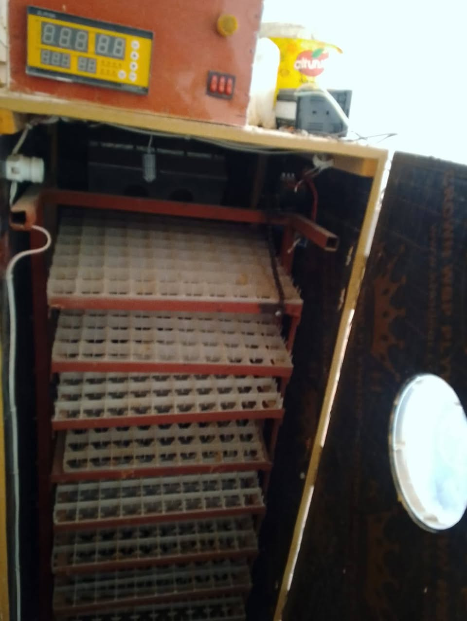 يالله متاح فقاسات للبيع فول شرط الشغل للاستفسار  اتصل ***********
