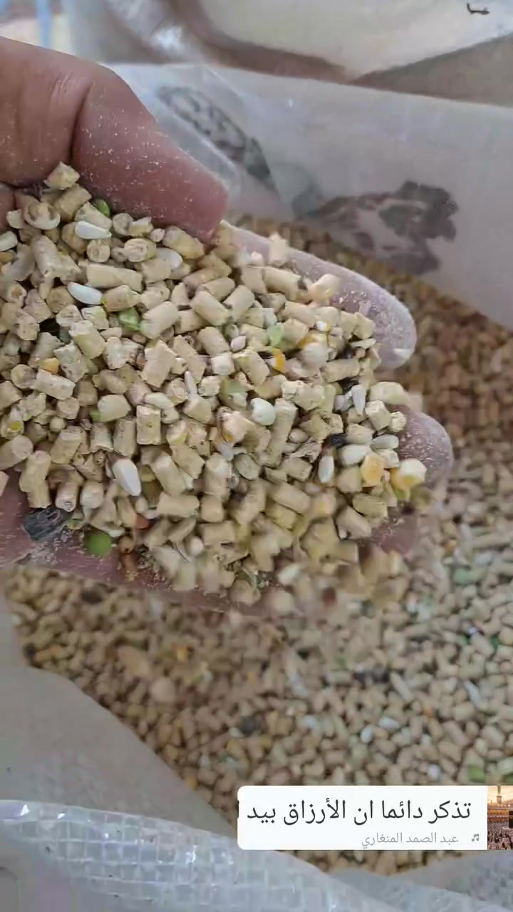 يا الله سلام عليكم  وكيل معتمد في بغداد 
اعلاف الريماس 
في بغداد فقط اعلاف الريماس غني عن تعريف
لمجربه اول مره معافه يوجد توصيل  بغداد فقط  
*********** رقم اعلاف الريماس  بي واتساب
تجهيز اي محل يحب يسترزق يوصلك لباب لمحل
