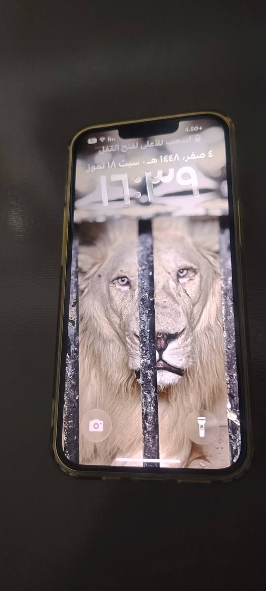 السلام عليكم
ايفون 13 عادي  (شرق اوسط) AAA للبيع نضيف كلش ما مفتوح وما مبدل بي اي قطعه بطاريه 77 ذاكره 256 كامره امامي خلفي شغاله شاشه 3 خيارات الجهاز كامل مكمل عل اخر حبايه مكان نجف حي ميسان *********** السعر 450 وبي مجال
