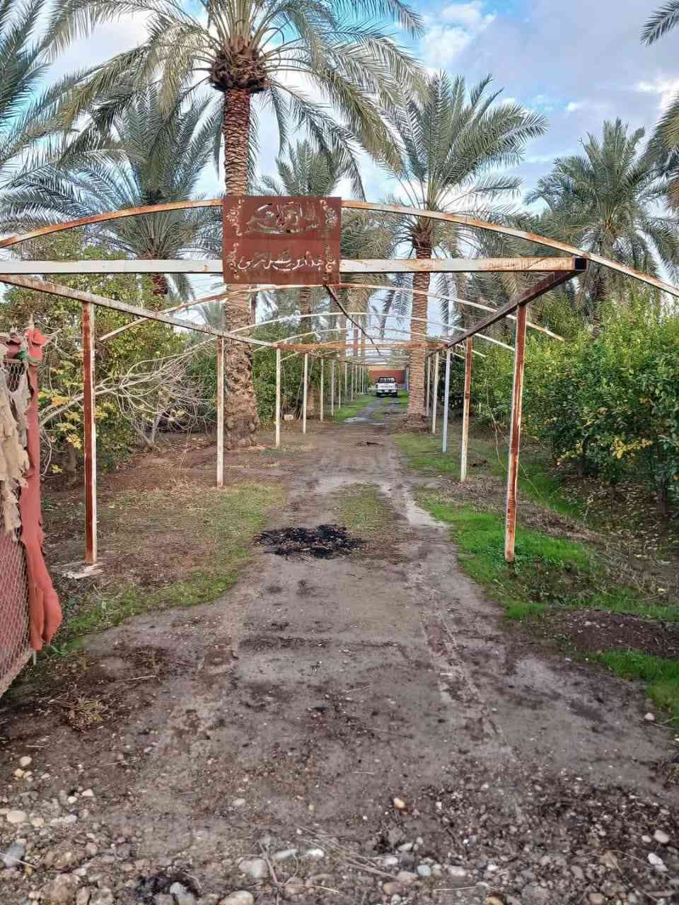 دونم نص 
 مزروعه نخل ونومي حامض عراقي وتين وزيري تقريبن ٩تين

*********** وتساب
بلد صلاح الدين

