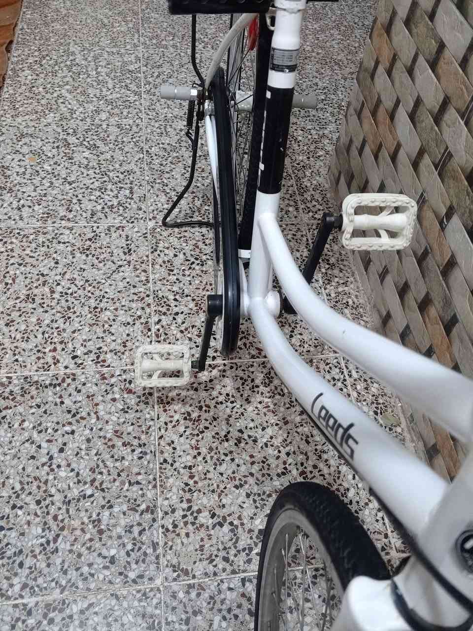 للبيع وللمراوس
شراي خاص
مو شراي لا تعبني

موديل 19
نضافه 89/100

مكان نجف 

سعر خاص 

للبيع وللمراوس شعندك بايسكل تريد تراوسه خاص


**إذا كنت صاحب هذا الإعلان وتريد حذفه لأي سبب، رجاءا أرسل رسالة إلى الدعم الفني**