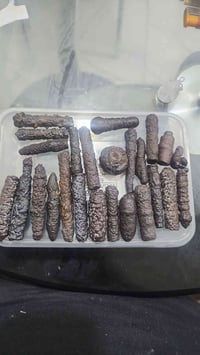 هباب نازف خام للبيع 07734026089