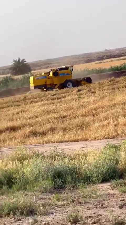 السلام عليكم للبيع حاصدة نيهولند موديل 2005 / 5 بلم هيدرو  رقم أربيل تريد تحويل تريد وكاله طبله جديدة  مكينه مكفولة كفاله عامه تايرات جدد دوشمه جديدة معمل جديد شرط معملها يطلعلك الحبايه وختها  سعرها 75 مليون وبيه مجال للاستفسار الاتصال على الارقام التاليه 
***********
***********
