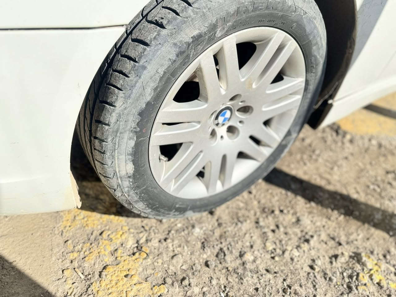 عندي تخم ويل 18 اريد مراوس بتخم ويل 19 شعاع
مكاني نجف 
للتواصل واتساب او خاص ***********
