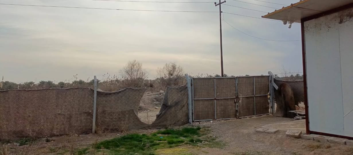 650 متر ركن للبيع طابو زراعي سند 25 تتوفر فيها جميع الخدمات ماء اساله وماء سقي وكهرباء ومسيج بالكامل شارع رئيسي 12 متر السعر 55 مليون وقابل للتفاوض العنوان بغداد الراشديه تبعد عن بوابة بغداد الحسينيه 7 دقائق للاستفسار الاتصال على الرقم *********** مكتب العبيدي للعقار
