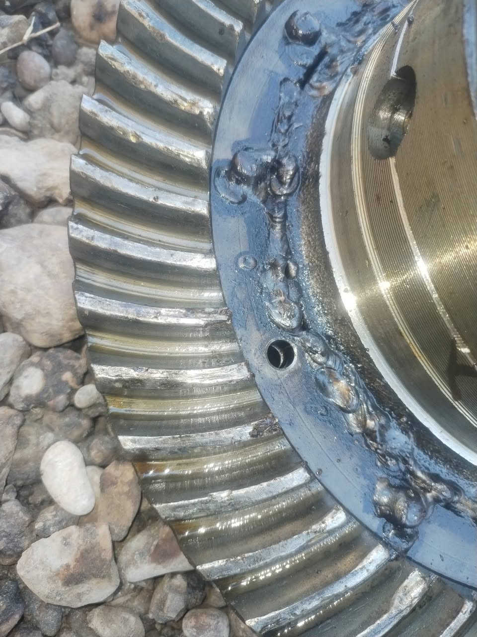 اسلام عليكم اكسن عنتر للبيع  ملحوم داير بيه شكم سن مثلوم  عنوان كربلاء ***********
