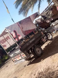 ستوته للبيع مديل 14 ستوته حيل نضيفه اوراق سنويه رقم ابيض ستوته خير من ...