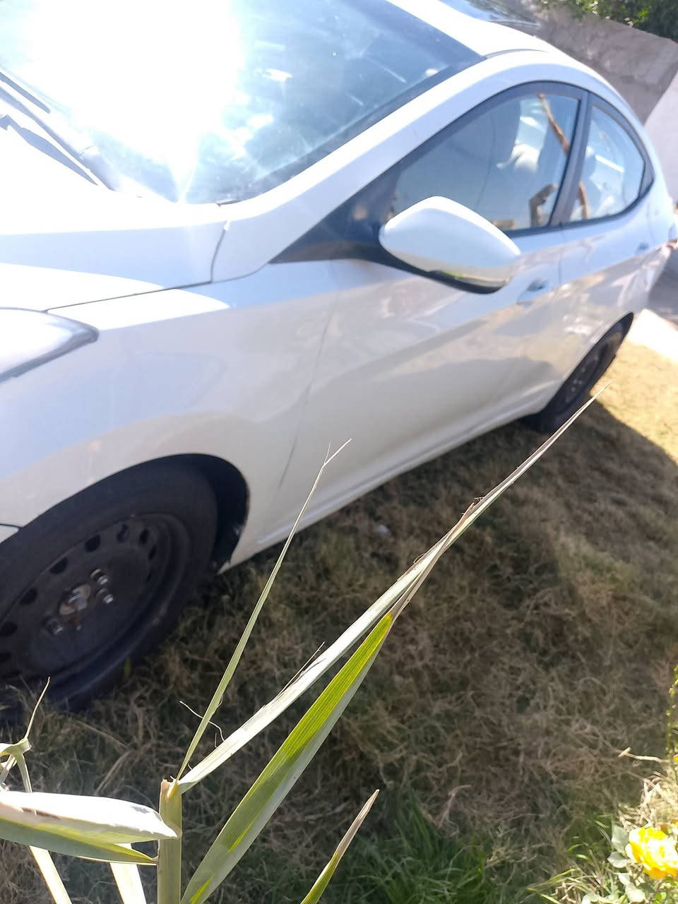 سلام عليكم
النترا 13 خليجي فول مواصفات 
محرك 1800دوش
رقم بغداد راعيه يريد مداور
بيه ماكنات صبغ بدون دواخل إرباك سليم
سياره جاهزه 
المكان كربلاء طوريج
***********
تبريد تدفئه تخم تأير حداديه جيده
