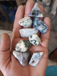 طحلبي • حجار نهري • حجار بحري