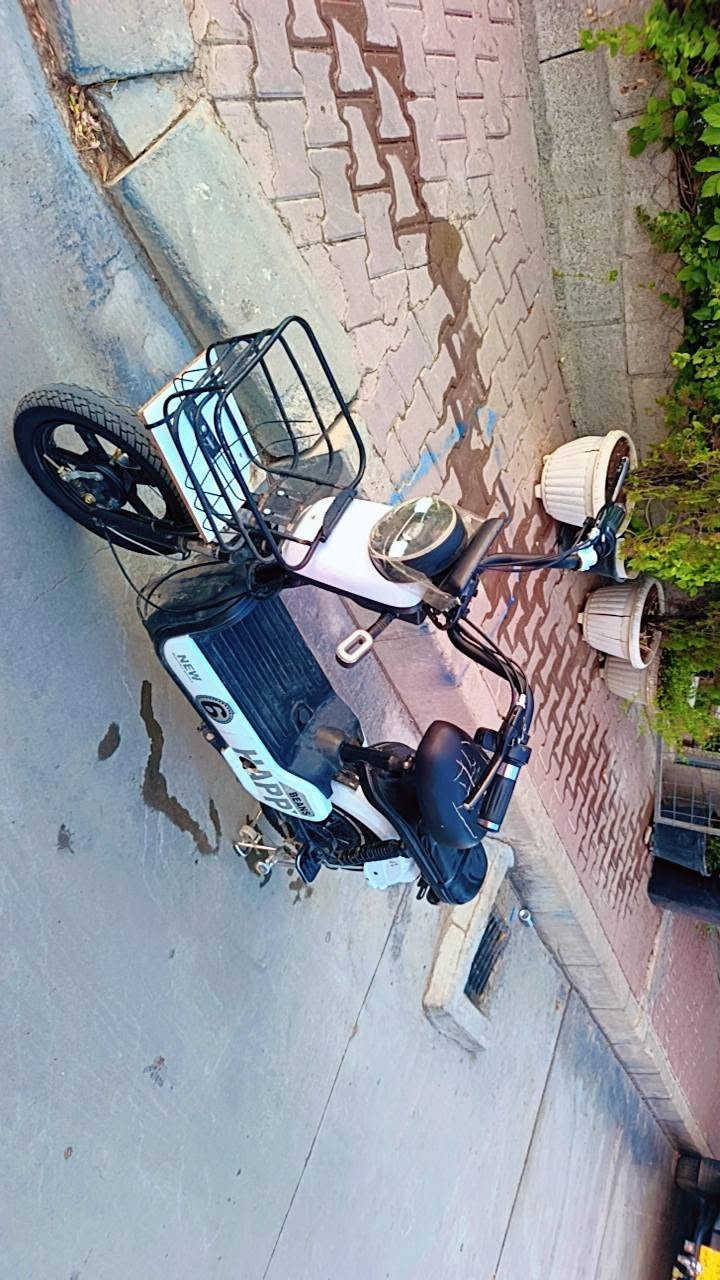 پاسکیل شه حن  پاک و جوان هه موشتی بیعه یب به شه رت بۆفرۆشتن
نرخ:١٧٠هه زار
شوێن:سلێمانی 
تێل:*********** السليمانية, العراق
