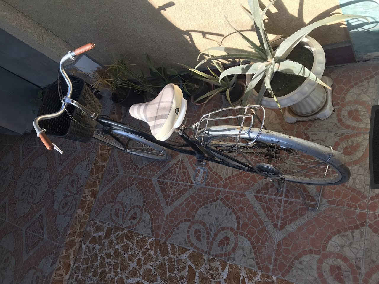 سلام عليكم باسكل موزه لبيع الحجم 27باسكل نضيف ويخبل مكاني بعقوبه جديده السعر 70وبي مجال الطيبين الرقم ***********او رسلني خاص وتدلل
