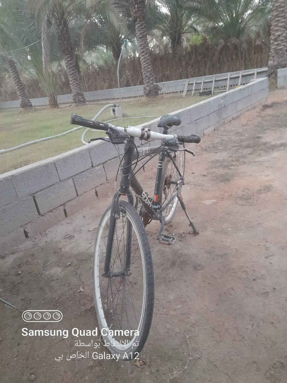 السلام عليكم 
بايسكل رياضي للبيع لسعر 100 آلاف مكاني كربلاء طويريج ( سياحي لدعوم )


**إذا كنت صاحب هذا الإعلان وتريد حذفه لأي سبب، رجاءا أرسل رسالة إلى الدعم الفني**