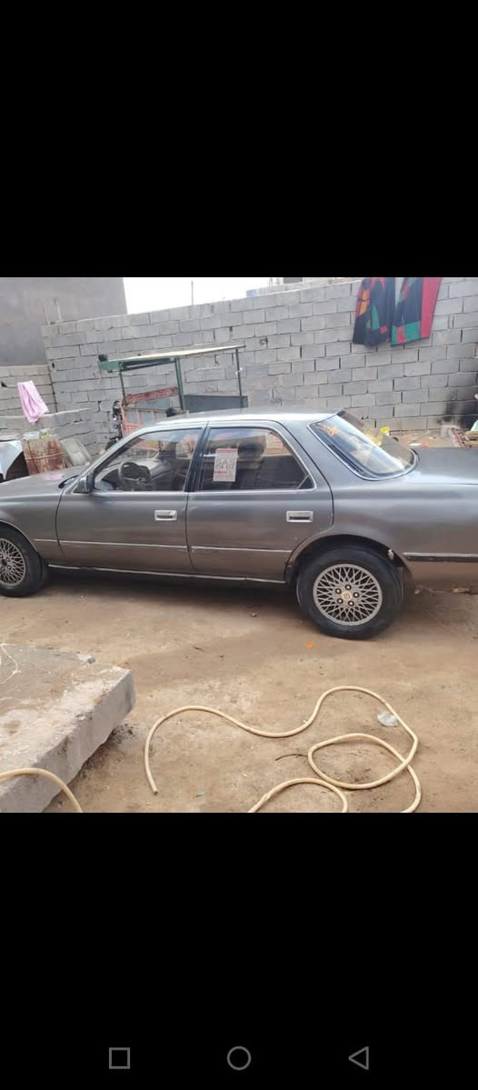 سلام وعليكم كرسته كصيف مكفوله اصوليت كص ونقل جثه مكان كرمت علي السعر 35 وبي مجال بصيط حك الجيه ***********
