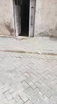 بيت للبيع المساحة 110 متر                   قطاع 29                   ...