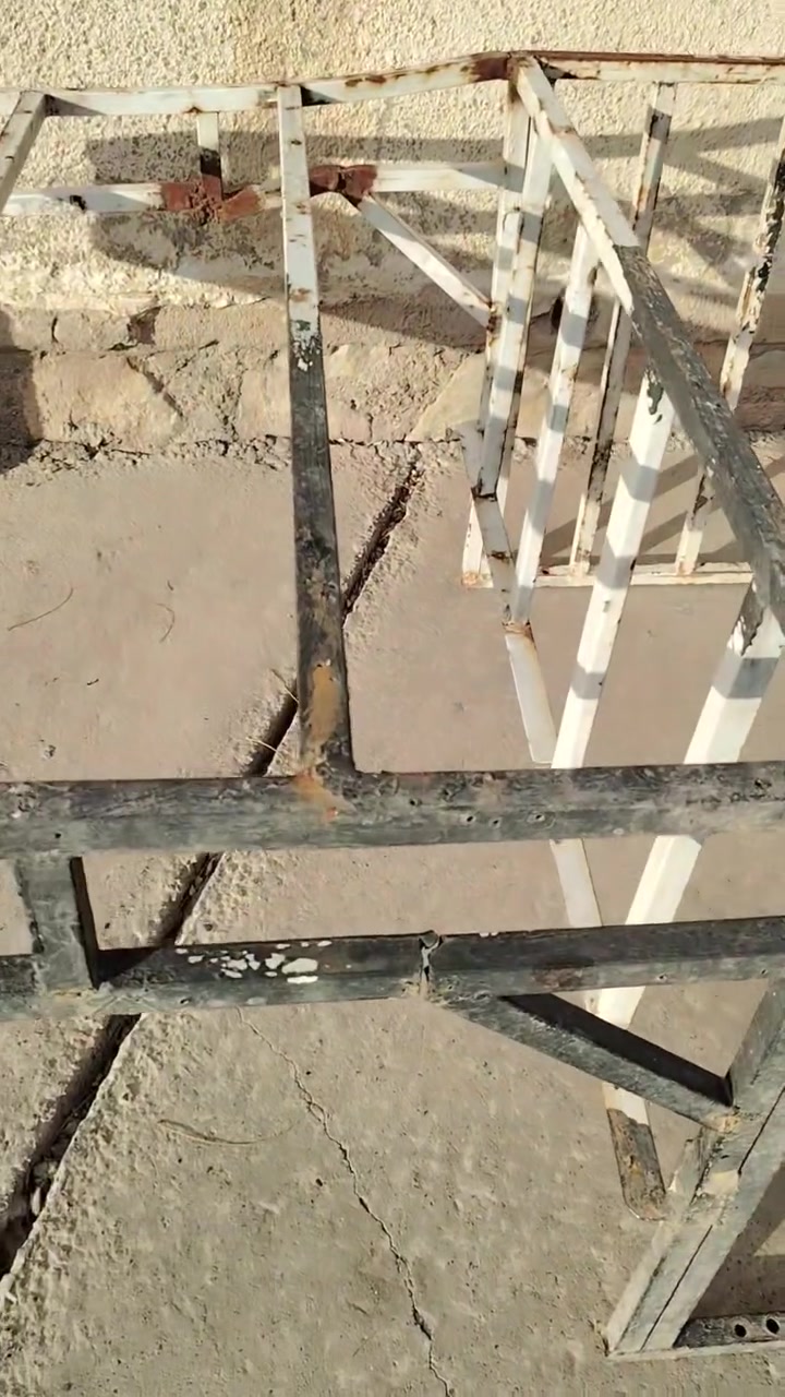 جنج مال شغل نضيف سعر 55


**إذا كنت صاحب هذا الإعلان وتريد حذفه لأي سبب، رجاءا أرسل رسالة إلى الدعم الفني**