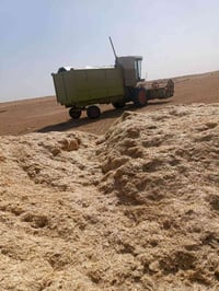 تبانة گلاص • تبريد شغال • جاهزة للشغل