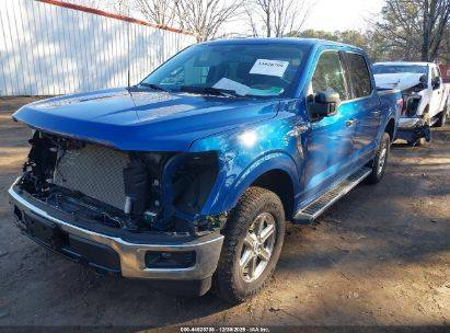 2025 FORD F-150 XLT 
اللون/أزرق
/عداد المسافة 18,491 mi
المحرك 2.7L V-6 
القيادة :تعمل وتسير
 المفتاح  :  موجود 
الحادث : كما موضح في الصور
تاريخ المزاد :  2026/1\8الساعة 4:30م
شراء و شحن السيارات من كافة المزادات الامريكية و الكندية الى العراق و الاردن و الامارات بأنسب الاسعار و اسرع الاوقات  كما توفر لكم الشركة في مقرها بالاردن صيانة السيارات باسعار مناسبة  ثم شحنها وتخليصها  الى كافة المحافظات االعراقية وكردستان  ومع ضمان لكم سرعة الانجاز بالطرق  القانونية وبناقلات عراقية كما توفر لكم الشركة خدمة بيع سياراتكم في معرضها الكاىن بالزرقاء بالمنطقة الحرة لمن يرغب  بدلك لمزيد من المعلومات يرجى زيارة مكتبنا الكائن في بغداد -صليخ_شارع ل٦٠٠/شارع التفاحه / (مكتب الرحمن )  او الاتصال على الرقم 
 ***********
ومقرنا بالاردن -المنطقة الزرقاء المنطقة الحره/شارع ١٧ (شركة قمر المدينه)
عمان: 009647708710458
