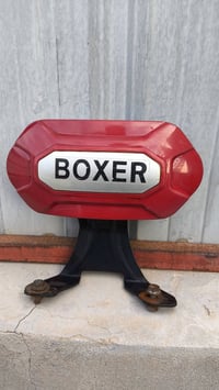 تجوة بوكسر • بنزات بوكسر • بجاج أصلي