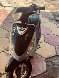 ماكس منغولي • مكفولة • معدل