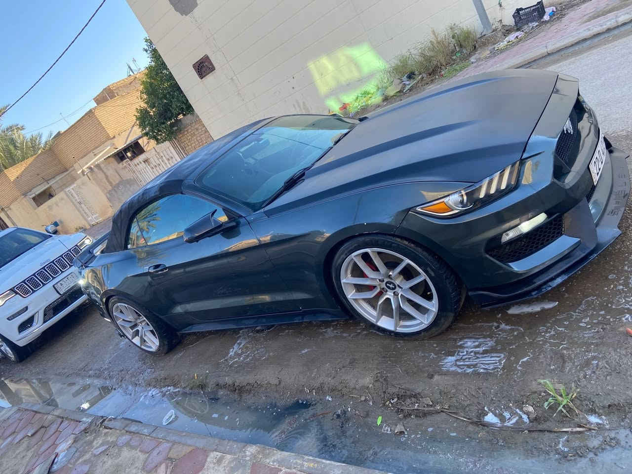 سلام عليكم موستنك 2016-6v لون زيتوني رقم اربيل ضرر واضح بل سونار 
ماشيه 138 الف 
عليها ادامه عامه- نوزلات جدد -تخم تاير  بلكات جدد - فيت بم جديد سيارة مناقصها اي شي 
- سبايدر رياضي - اكزوز طلقات - مبرمجه سيفتي - زنون بلادي -اضاء داخليه  تدفئه تبريد شغال كشف شغال
- ⁠شاشة حجم كبير كاربلي 
- ⁠السعر 120 وبيها مجال للشراي 
- ⁠مكاني واسط الزبيدية-   كوت
- ⁠***********
- ⁠***********
