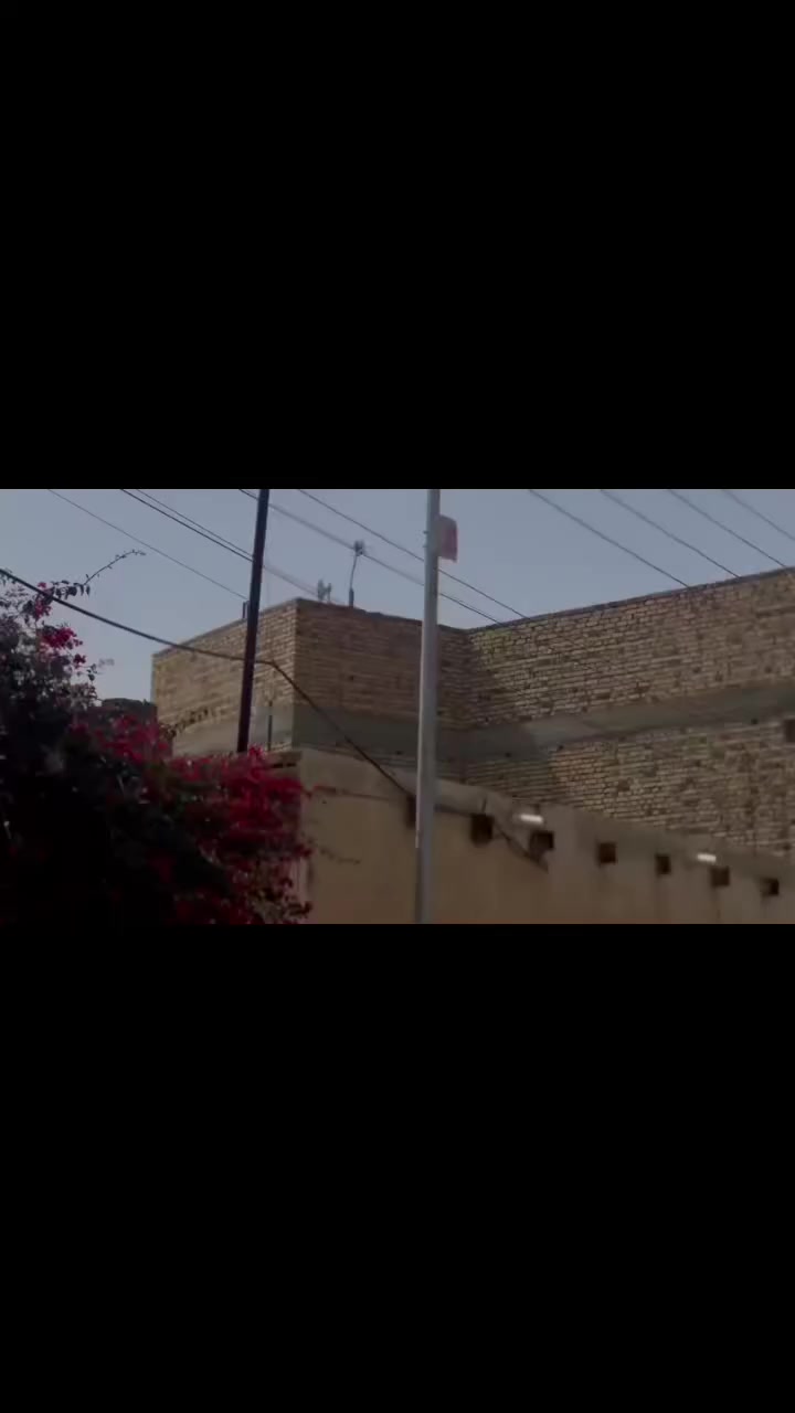 سلام عليكم اوبترا, 2006 محدثه غرفه وبجم 2012 رقم بغداد راعيه بلبصره محوور كير ومحرك كورلا 1600 للبيع أو مراوس بسياره تكسي هم عليهه هيئ وغرامات مليون سعرهه شعندك مراوس نزل بلتعاليق مكاني ناصرية سوك شيوخ


**إذا كنت صاحب هذا الإعلان وتريد حذفه لأي سبب، رجاءا أرسل رسالة إلى الدعم الفني**