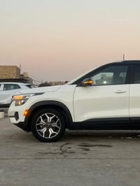 سلتوز ٢٠٢٣ • ٢٠٠٠ سي سي • بدون صبغ