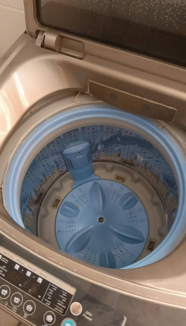 غراض نضيفات اي ضرر مابيهن كلمن وسعره


**إذا كنت صاحب هذا الإعلان وتريد حذفه لأي سبب، رجاءا أرسل رسالة إلى الدعم الفني**
