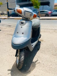 بوتين • نص فول • مكينة شرط