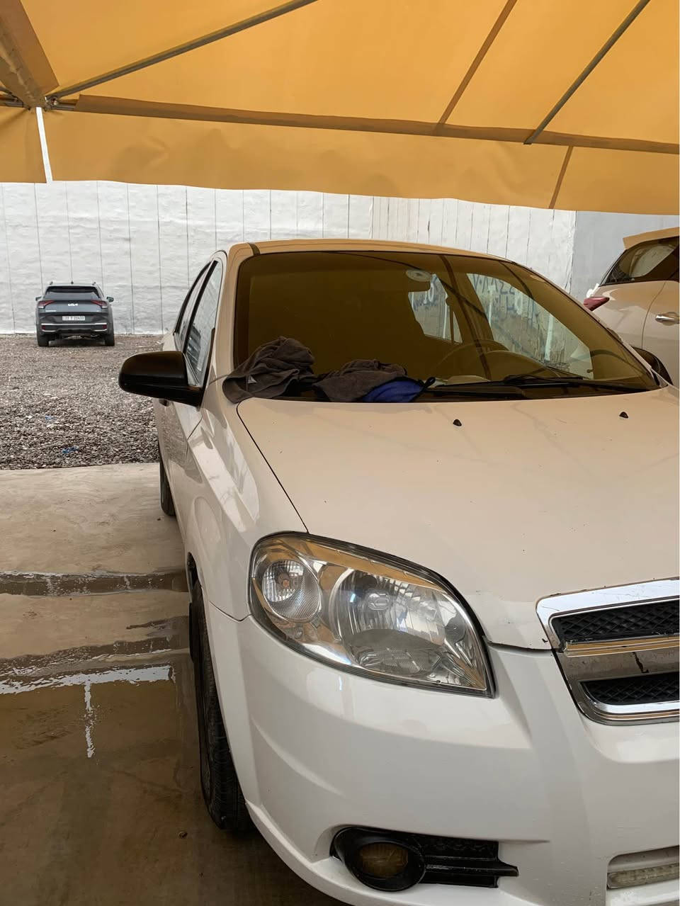 ئەڤیۆ 2010 سپی بەفری ناو زەرد تەبرید بە شەرت سارد و گەرم براوە سەقف و عیزام بە شەرت 2پارچەی هەیە بە 3 پارچە دەفرۆشم  رەقەم بەغدا سەنەوی ئەسڵی بەشەرتی ئەوەلیات غڕامات بەشەرت سەیارەکە هی بنە خۆمە زۆر پاکە بێ مەسرەفە گێر و مەکینە بە شەرت توند و تۆڵە 4 تایەی لۆکی لەبنە  
رەقەم موبایل ***********. کۆرەک 
زین *********** أربيل, العراق
