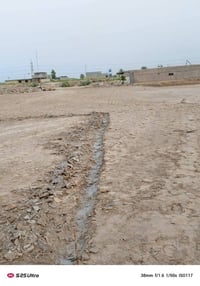 المام عون • ٢٠٠م • سند٢٥