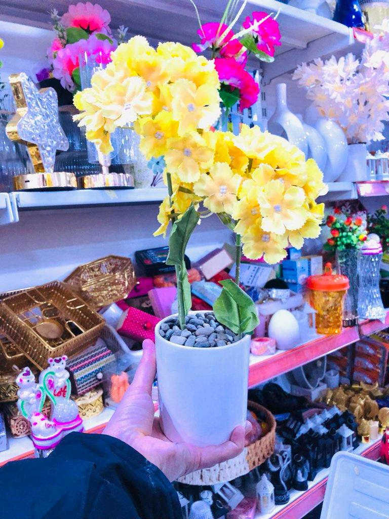 نرخەکانمان شۆک تان دەکەن باری تازەمان گەیشتووە

سەیری بابەتەکانمان بکەن جیاواز نرخەکانمان ببین 
هەموو خوار جوملە هەموو بابەت ناوازە و جیاواز 
بەس گلەی مەکەین نەما بابەت ئێمە یەک جار دووبارە بوونەوە نییە هەمیشە بابەت ناوازە وجیاواز نرخەکانمان ببین

ئێستا هەموو بەردەستە هەموو رۆژ بابەت ناوازەو جیاواز
لەبەر زۆر بابەت ناتوانین هەموو عەرز کەین فریا ناکەوین
تەنها لە هەزاری سەنتەری  سەیدسادق بەردەستە 

هەر شوێنێک بەو پارە دەسیت کەوت وەرە پارەکەت وەربگرەوە

ئیستا یەکسەر سەردانمان بکەین دوایی گلەی مەکەین نەما 

هەموو رۆژ دوکان سەعات 9بەیان بۆ 12شەو کراوەیە

یەکەم بێ رکابەرین لەنرخ و لەهەرزانیدا نەک
 لەسەیدسادق بەڵکو لەسلیمان و هەڵەبجە شەهیدیش
 کەس بەرکابەر خۆمان نازانین بۆ هەرزان 

بینیرن بو هاوریکانتان👉👉👉🙊🙉🙈

گەورەترین #ھەزارسەنتەری_سەیدسادق

بەس ئێمەین لە سەیدسادق شتی ئیمە جیاوەزە 💕
خزم و دۆستان ئاگادار بکەنەوە

ناونییشان /سەیدسادق : نزیک پردی قەرزاران یان نزیک مزگەوتی ئەبوبەکری سدیق


**إذا كنت صاحب هذا الإعلان وتريد حذفه لأي سبب، رجاءا أرسل رسالة إلى الدعم الفني**