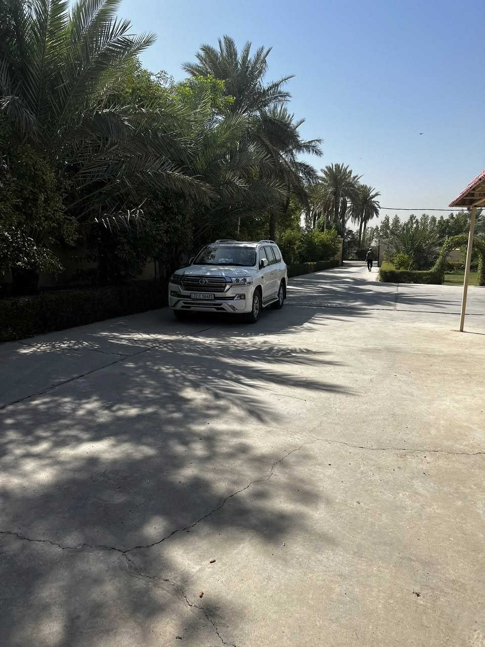 لاندكروز موديل 2016 مكفوله كفاله جيده كلش 
مواصفات بريم ***********
تشغيل بعد 
ماشي 88كم
كشنات جلد +كهرباء 
السعر 465 عنوان واسط العزيزية
