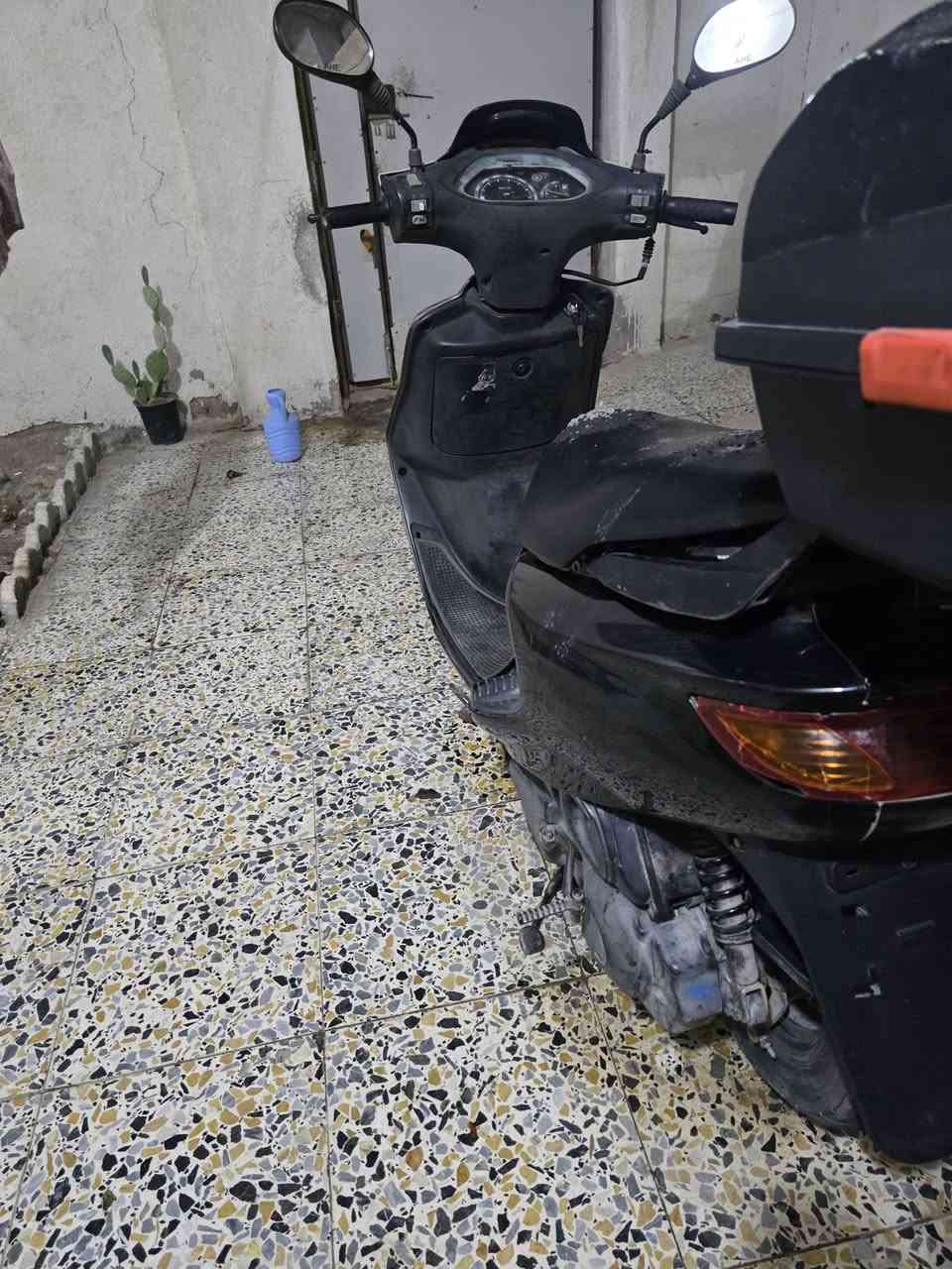 السلام عليكم دراجه فراشه للبيع فقط بيع ما راوس شغال كلشي بيهة والمكينه ما مفتوحه سلف هندر شغالات ما عده الايت الكدام الدكمه عطلانه بس اشاير هورن شغالات الكفرات نضافتهن ميه بالميه  مكاني ابي الخصيب طريق الصحراء السعر 750 قفل وبيع من باب البيت للاستفسار
***********
