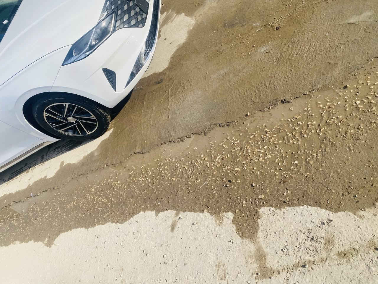 السلام عليكم للبيع  مديل 2023   غاز اصل السيارة فول 1\1 بنراما بدون رقم منفيس بأسمي ترقيم ثاني يوم تانكي غاز 90 لتر بيه كلير من كوريا بالجامغ شوية وبالبنيد شوية بدون معجون (كلير فقط) سعر مناسب جدا للاستفسار ***********
