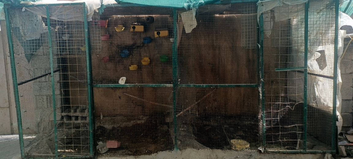 محمية للبيع كبيرة 
شهربان 
السعر 180
***********
