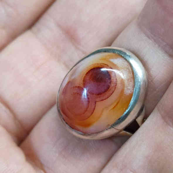 سليماني هندي سعر 45 مع التوصيل.للحجز واتساب ***********
