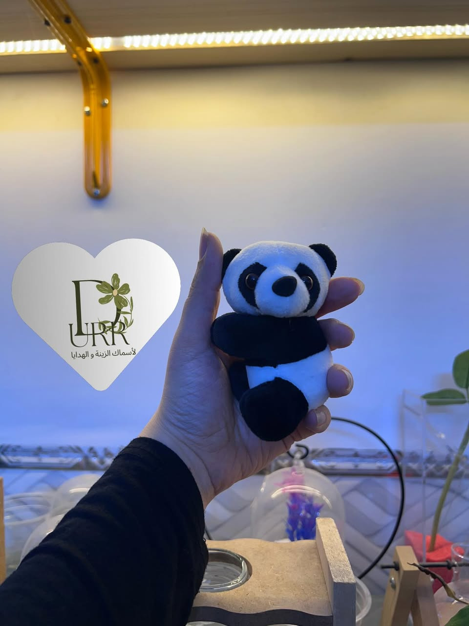 عرض الدر لنهاية شهر رمضان المبارك 🐼🐼الباندا اللطيفة القطعه ب3                   قطعتين ب5   متوفر توصيل  لكافة المحافظات وكذلك بيع مباشر داخل المحل عنوانه كربلاء شارع الجاير نهاية حي الامام علي مقابل الصورة قرب صيدلية البنين النموذجية #الدر #كربلاء_المقدسة #اسماك_زينه #هدايا #سلاحف_برمائية


**إذا كنت صاحب هذا الإعلان وتريد حذفه لأي سبب، رجاءا أرسل رسالة إلى الدعم الفني**