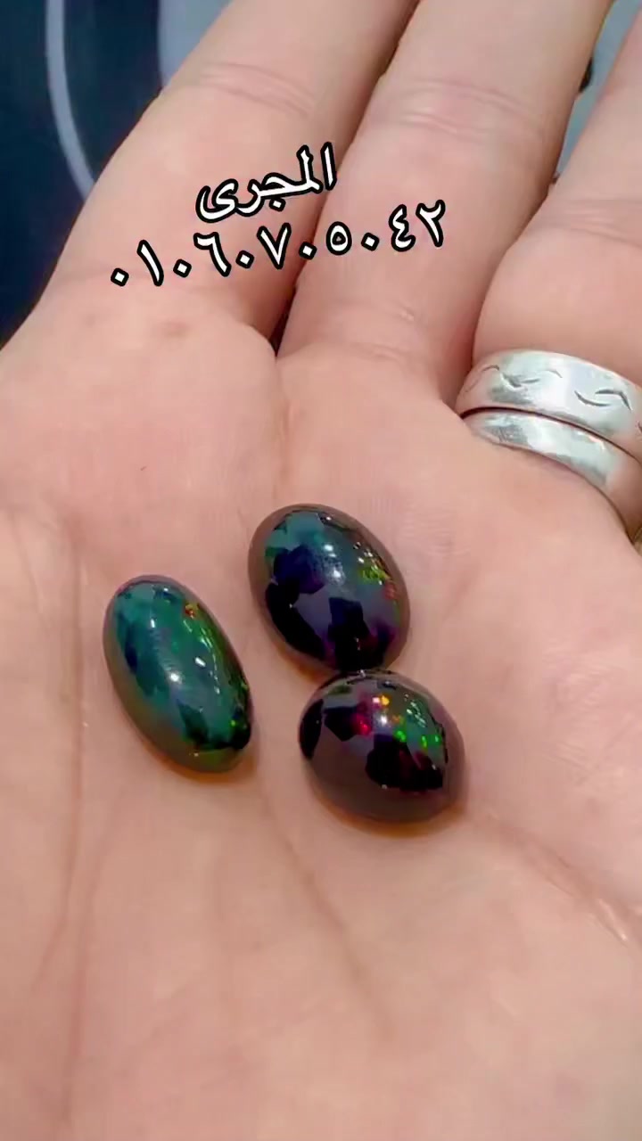 🌴🌴 صبحكم الله بالخير والبركة والرزق الحلال 🌴 

💎💎 شوية حلويااااات من زمن فااااااات 💎 💎 

💎 الأوبااااااال الفووووول فااااااير الأستراااالىً 💎 

#ورشة_أبوحازم_المجرى_٠١٠٦٠٧٠٥٠٤٢


**إذا كنت صاحب هذا الإعلان وتريد حذفه لأي سبب، رجاءا أرسل رسالة إلى الدعم الفني**