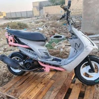 ماكس منغولي • بوشه ٥٥ • بحالة زينة