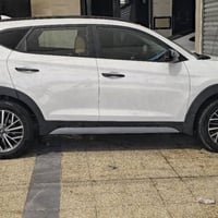 توسان أمريكي • ٢٠٢٠ • رقم اربيل