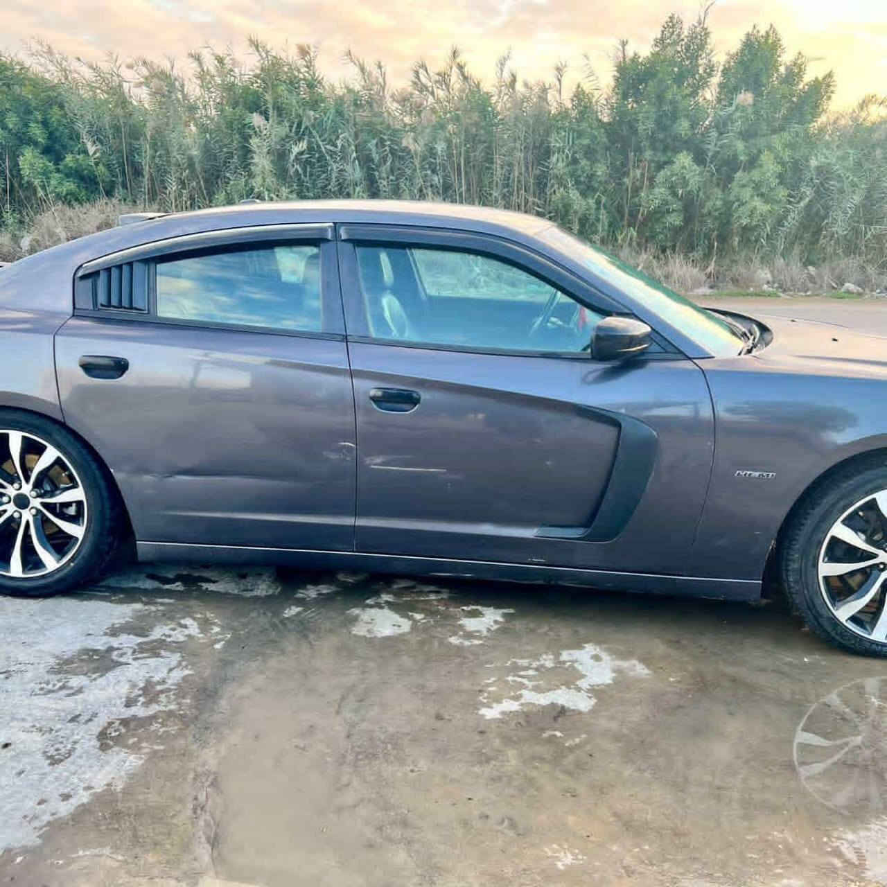 السلام جارجر14 5700 هيمي حادث جاملغ خلفي وخشم الجاملغ الامامي فول عدا الفتحه كشنات كهربا تدفه تبريد حداديه جديده تخم تاير جديد شاشه كبيره كير عصا السياره عايزه تلحيضات بصيطه السعر 142 وبي مجال بيع او مراوس 3600رقم /***********//*********** مكاني بابل
