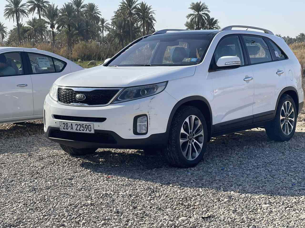 السلام عليكم 
سورنتو موديل 14  
6. سلندر 
سياره فول مواصفات 
بانور رامه 
مريا شفط 
حساس امامي خلفي 
كشنات  كهرباىي 
زراكات لايت امامي 
 7 راكب 
3 قطع تبريد 
رقم نجف سنويه 2030 
بيهه فقط الجاملغ الامامي اليمين مرشوش (جهت السدر) 
الباقي سياره مكفوله وسياره نظيفه 
سونار جديد قبل يومين مسوي 
مكاني دوانيه دغاره سعر 195 شراي بي خير يدلل 
***********
