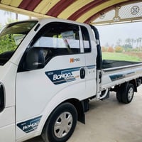 بونغو • ٢٠٢٣ • رقم بغداد