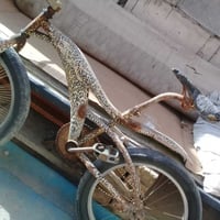 دراجة • مقاس ٢٠