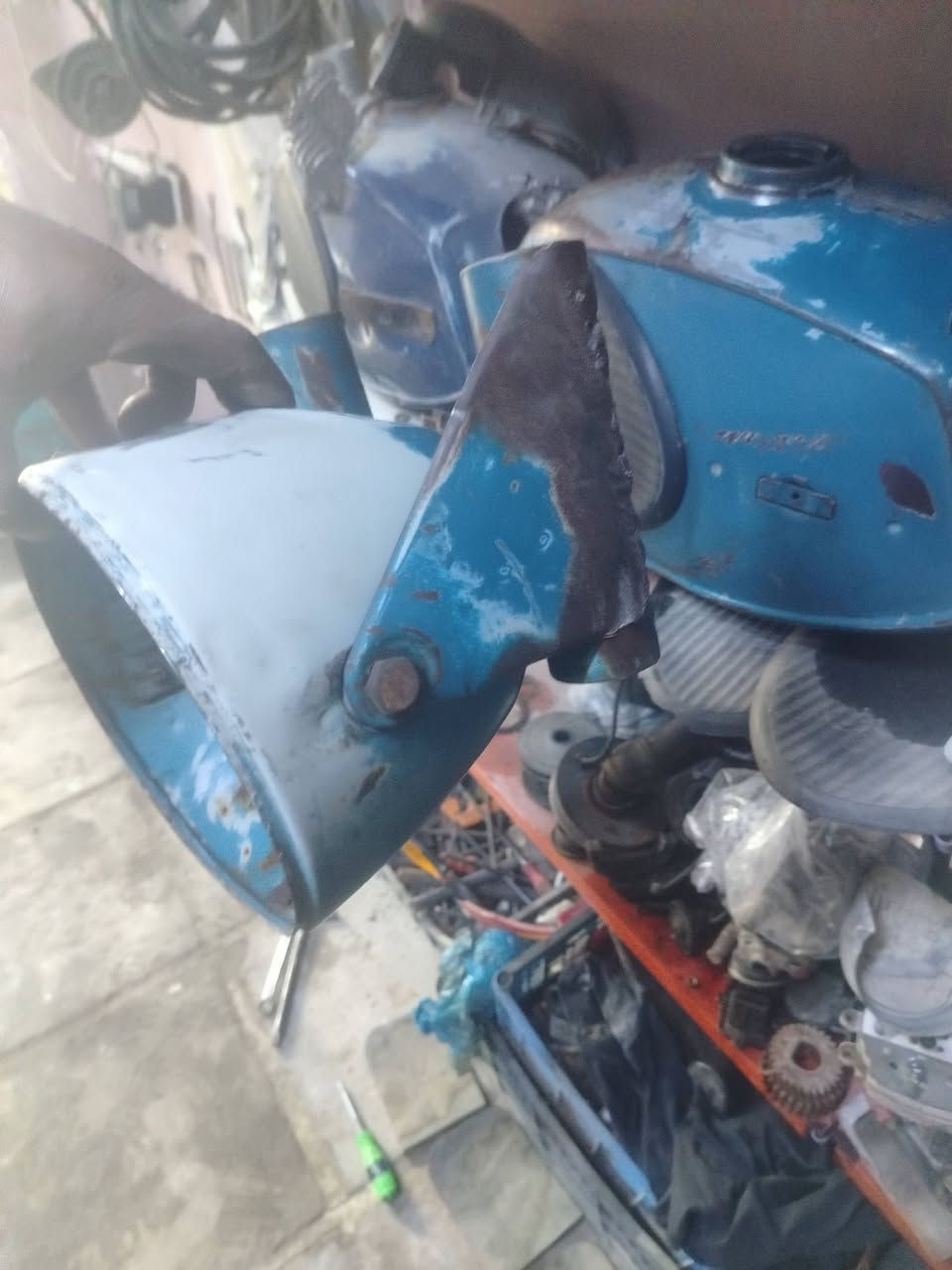 كشر بلادي للبيع *********** نجف ابوصخير توصيل ماعندي
